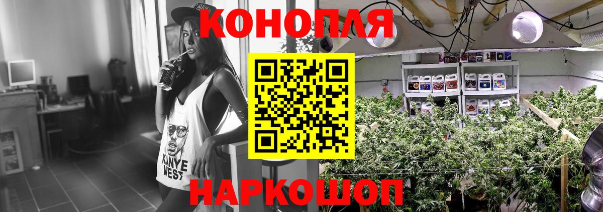 Канабис SATIVA & INDICA Торжок